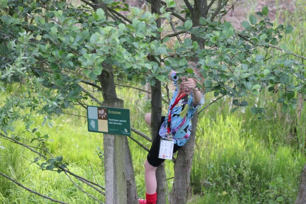4-daagse 2019 - dag 3